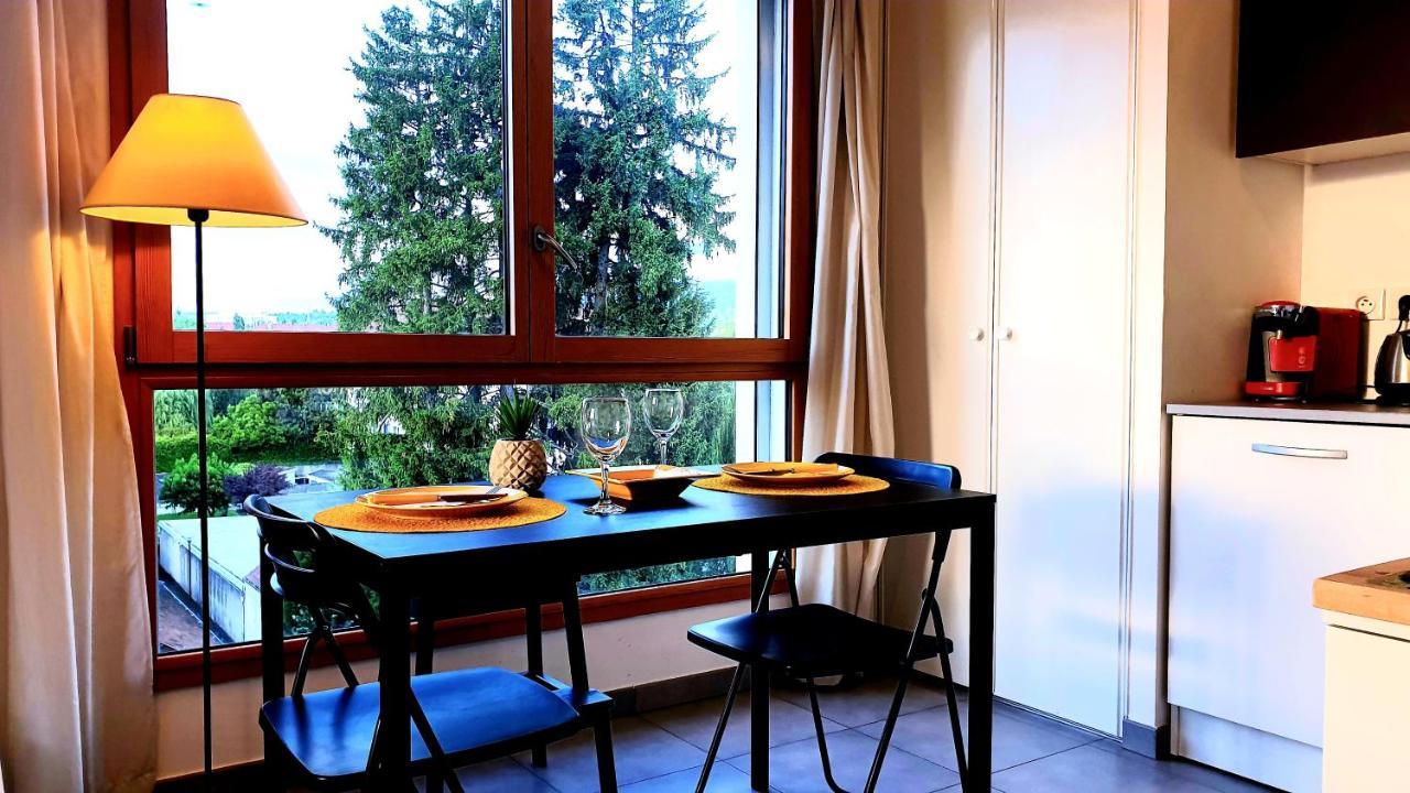 Апартаменты Le Bellevue A 10Min Du Centre A Pied Анси Экстерьер фото